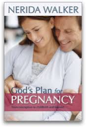 God’s Plan for&nbsp;Pregnancy