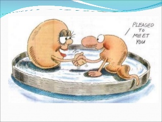 That Giant called&nbsp;IVF