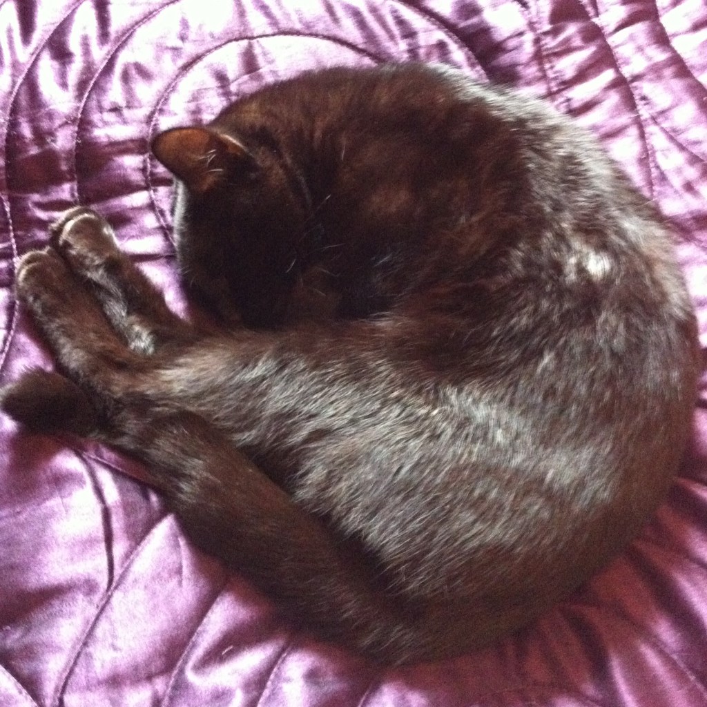 Rolling with the&nbsp;Punches