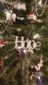 12366181_10153776229382296_8425328429486276358_o