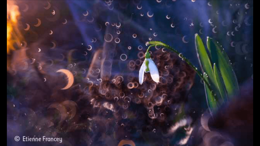 Brave New World – our private IVF&nbsp;journey