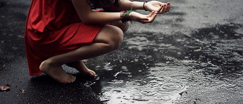 In the Eye of the&nbsp;Storm