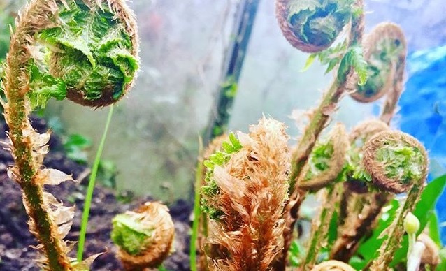 The battleground of faith