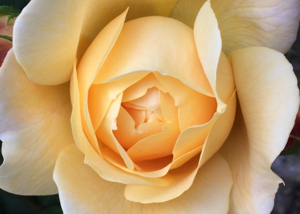 What I have learnt since our last miscarriage